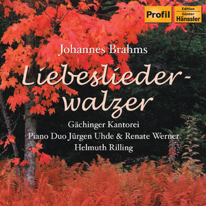 15 Neue Liebeslieder Waltzes, Op. 65:No. 3. An jeder Hand die Finger