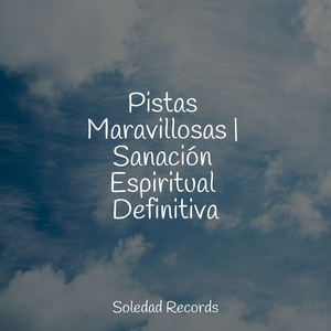 Evolución Armoniosa