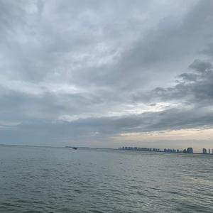 嗜好