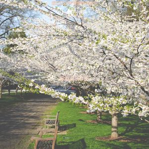 适合办公事务浪漫的音乐