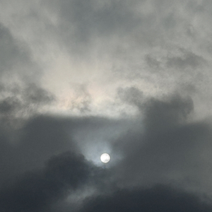 原生孤独（Prod . Ounce_X）