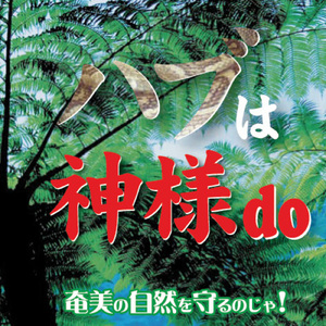 アカヒゲ、メジロ、オーストンオオアカゲラ、アマミノクロウサギ