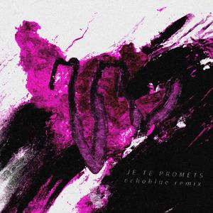 je te promets (echoblue r3mix)
