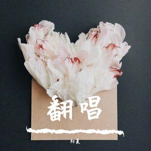 声声慢