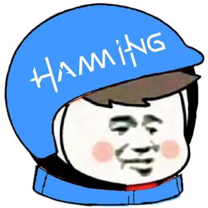 甘肃不大 创造神话（Hamming Bootleg）