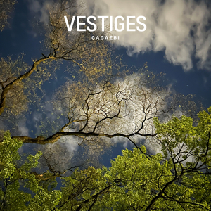 Vestiges