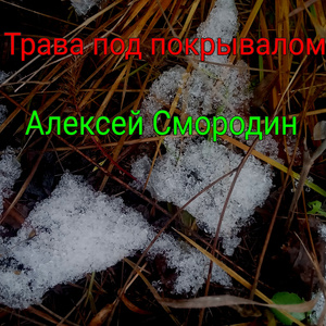 Трава под покрывалом