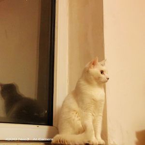 借口 Prod by SCORPION