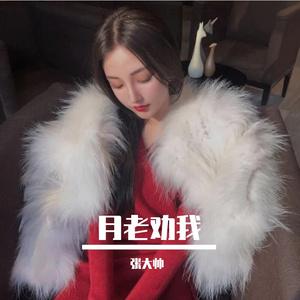 月老劝我 (DJ版) 伴奏