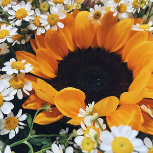 ตั้งเเต่ตอนนี้