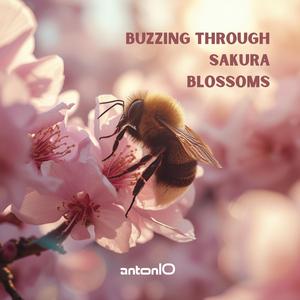 Buzzing Through Sakura Blossoms