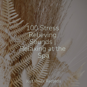 Frenzied Zephyr's Rhapsody