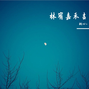 背影（女生）（翻自 林宥嘉）