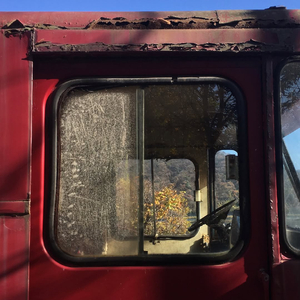 请允许自己枯萎 然后再重新绽放