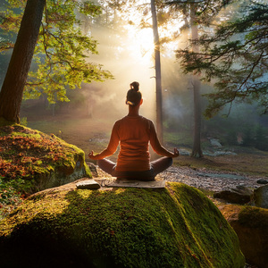 Quietud A Través De Rimas
