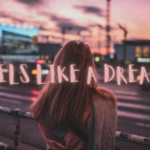 Feels Like A Dream