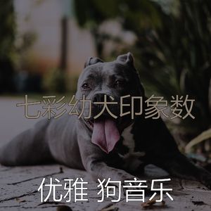 安静的狗声音