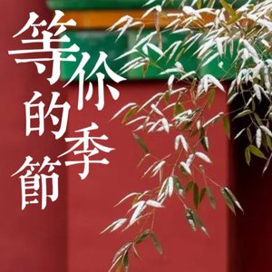 等你的季节