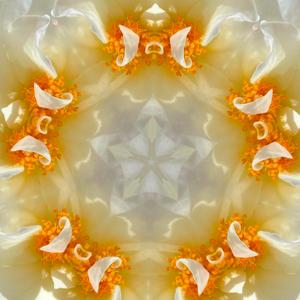 Salutation Sun (Instrumental) (Instrumental)