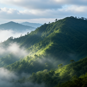 学会给自己撑伞