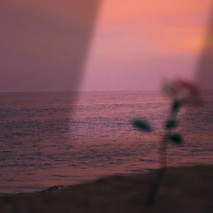 再度重相逢 (女版)