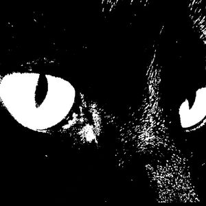 【free】黑暗trap+jersey club type beat