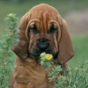 imgonnagetyouback (sped up)