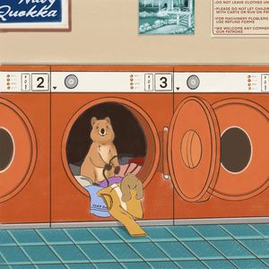 솔직하게 말할까