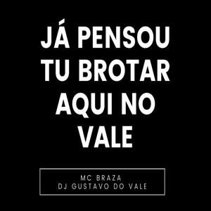 Já Pensou Tu Brotar Aqui No Vale