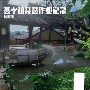 纯琵琶曲金蛇狂舞