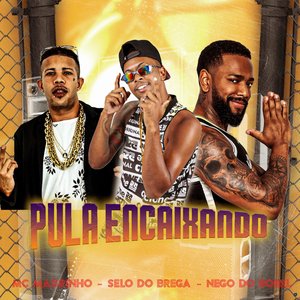 Pula Encaixando (feat. Mc Magrinho & Nego do Borel)