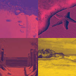 一尘不染吃印象数