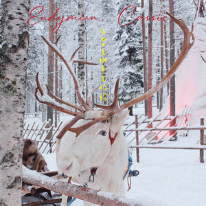 在雷克雅未克结婚（with Cassie）