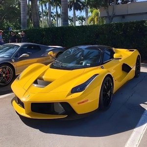 Suygu真爱