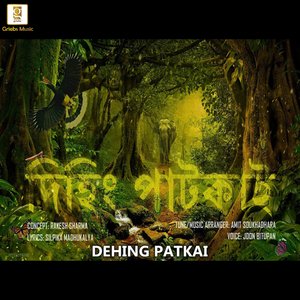 Dehing Patkai (Studio)