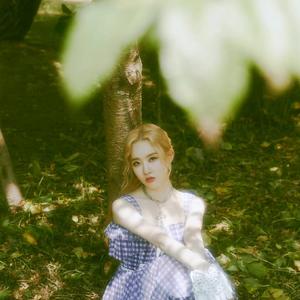 有色眼镜 (STEREOTYPE)