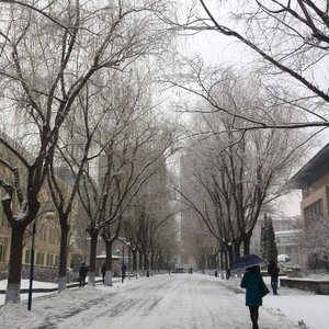 雪夜