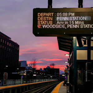 楼顶上的小斑鸠