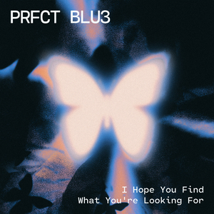 I Hope You Find What You're Looking For