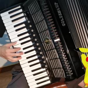 【手风琴】目标是神奇宝贝大师+