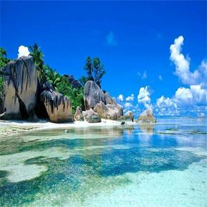 权仔 - 安和桥 (Demo)