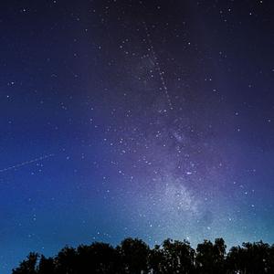 耙耙爱情故事2024