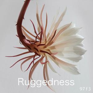 Ruggedness