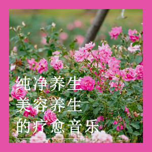 纯净心灵泉源 (钢片琴)