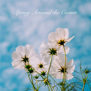 Spring Around the Corner