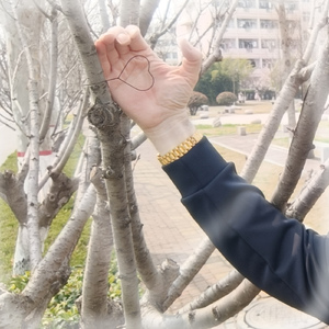 Почему пишу я песни