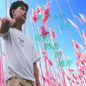 回到熟悉的地方