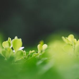 FormatFa672ctoryPart10 (13)