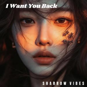 You Didn't Come Back