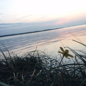 你出现在我最爱的时间里